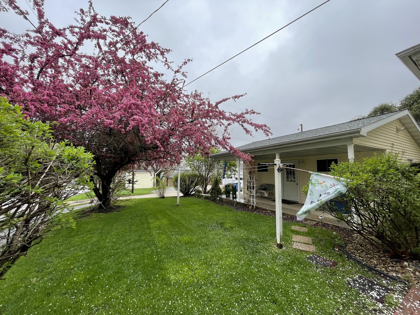 329 East Erie Street Spring Valley, IL 61362 - Photo 3 of 29