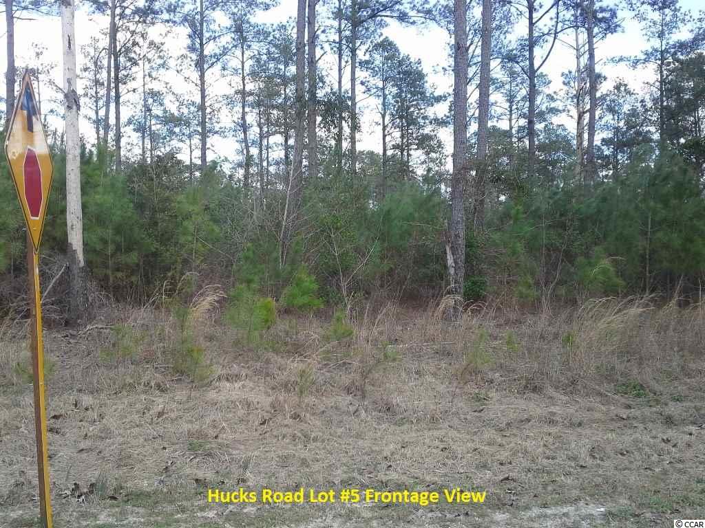 7363 Hucks Road Conway, SC 29526 - Photo 5 of 11 Gallery Image 5