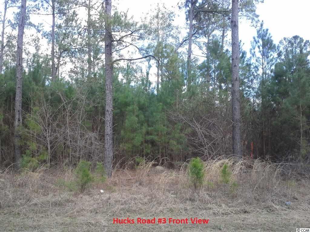 7363 Hucks Road Conway, SC 29526 - Photo 6 of 11 Gallery Image 6