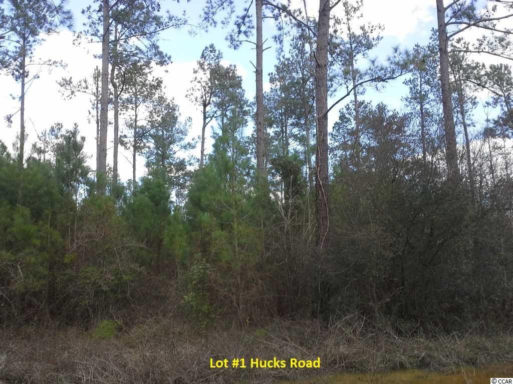 7363 Hucks Road Conway, SC 29526 - Photo 7 of 11 Gallery Image 7