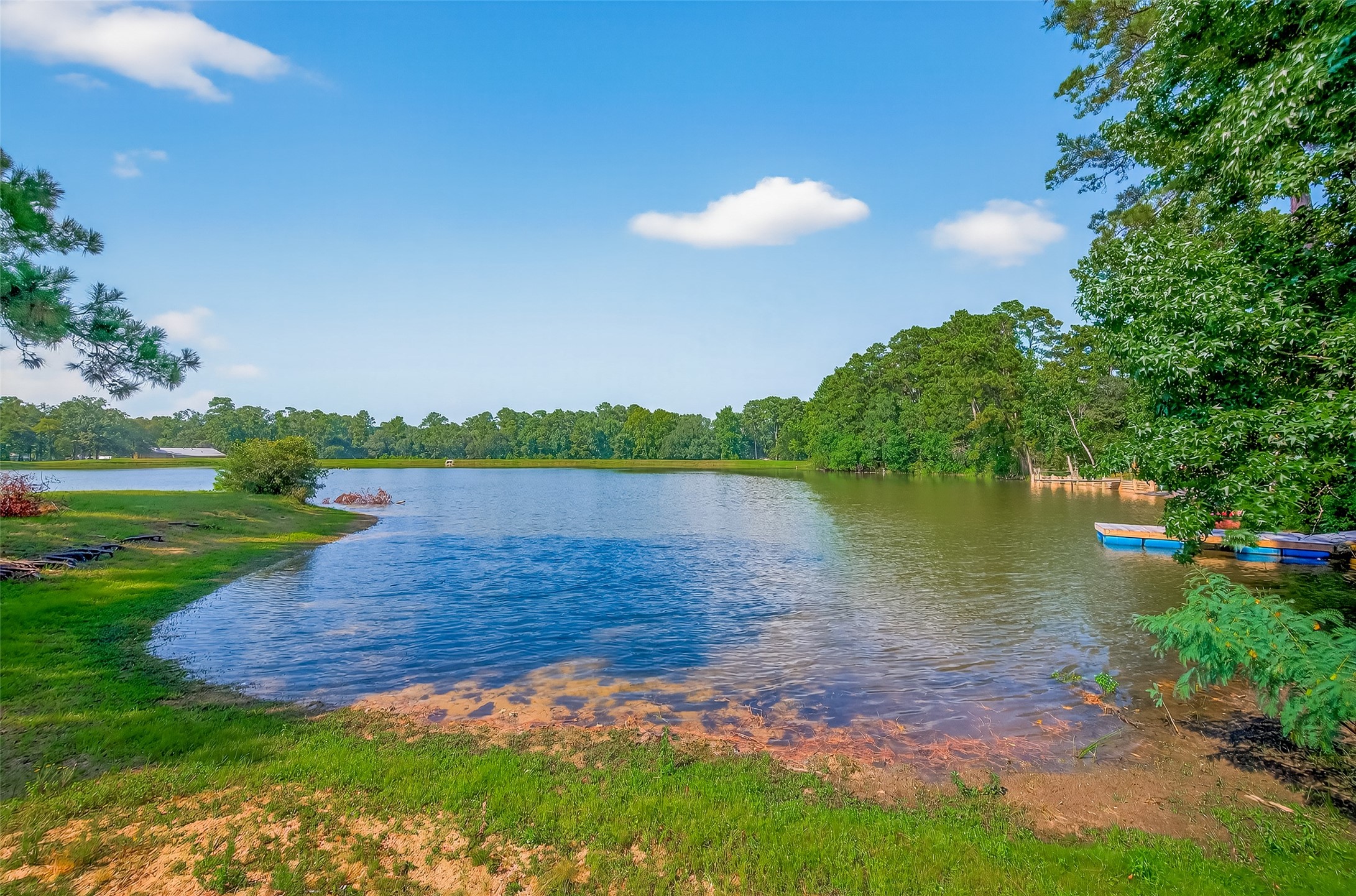 701 St Lawrence River Road Montgomery, TX 77316 - Photo 30 of 35 Stocked lake with plenty of big fish!