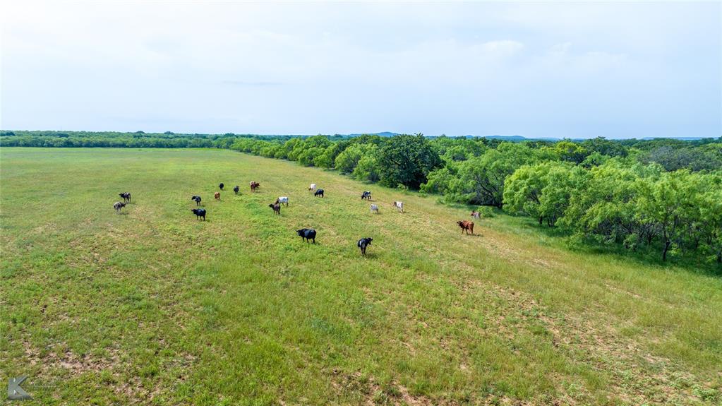 5030 Finis Road Graham, TX 76450 - Photo 12 of 29