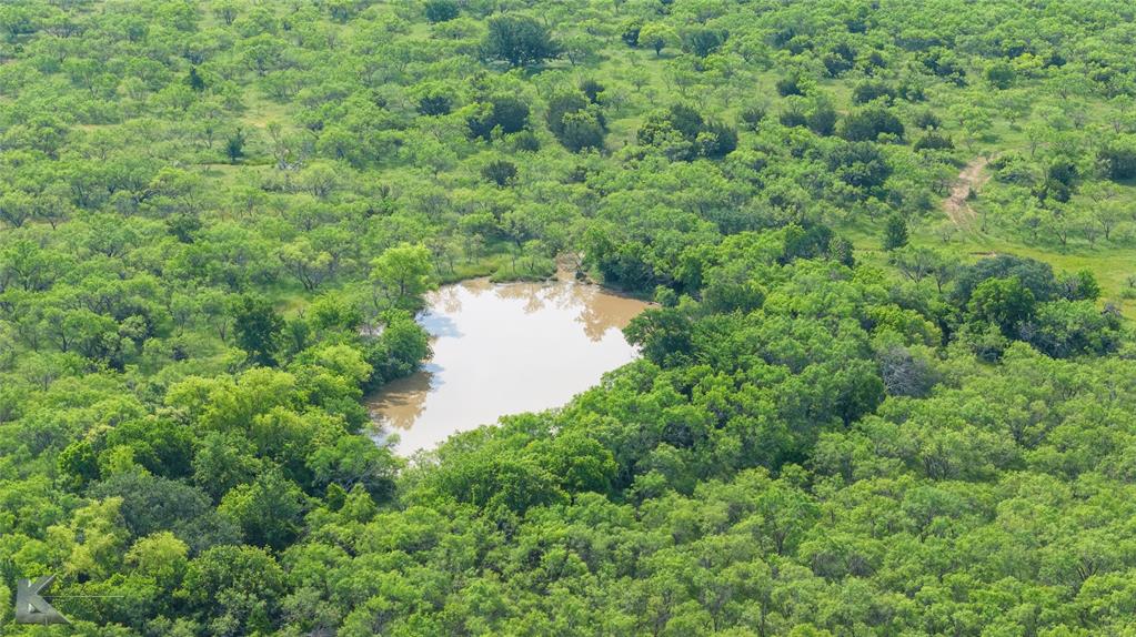 5030 Finis Road Graham, TX 76450 - Photo 15 of 29