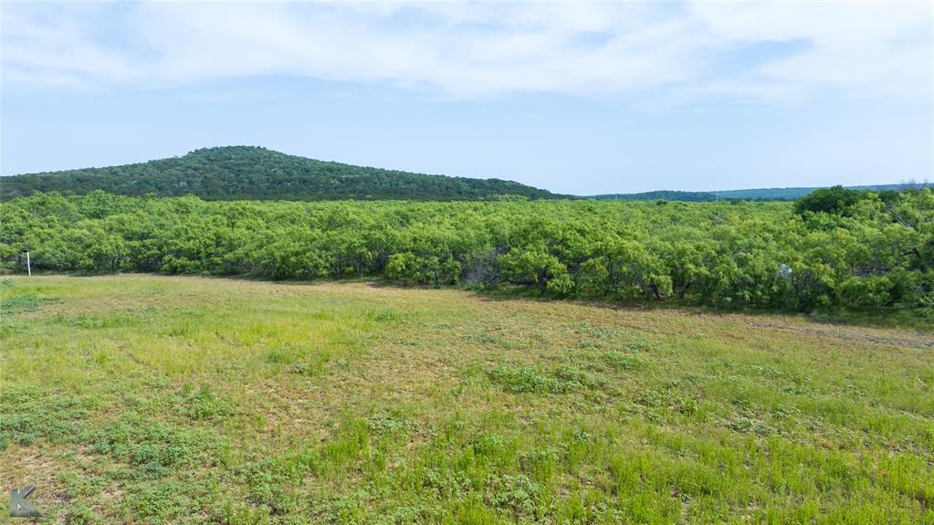 5030 Finis Road Graham, TX 76450 - Photo 8 of 29