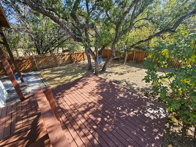 a view of a tree with a yard