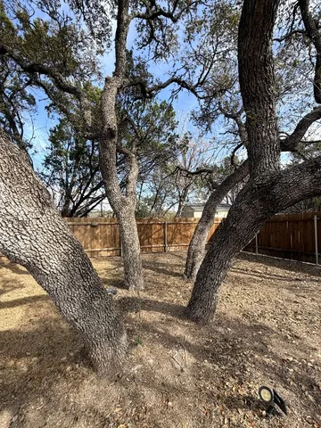 a view of a yard with a tree