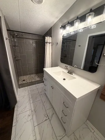 a bathroom with a sink mirror and shower