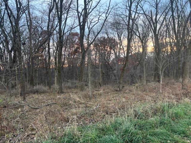 4793 Steiger Road Potosi, WI 53820 - Photo 4 of 10