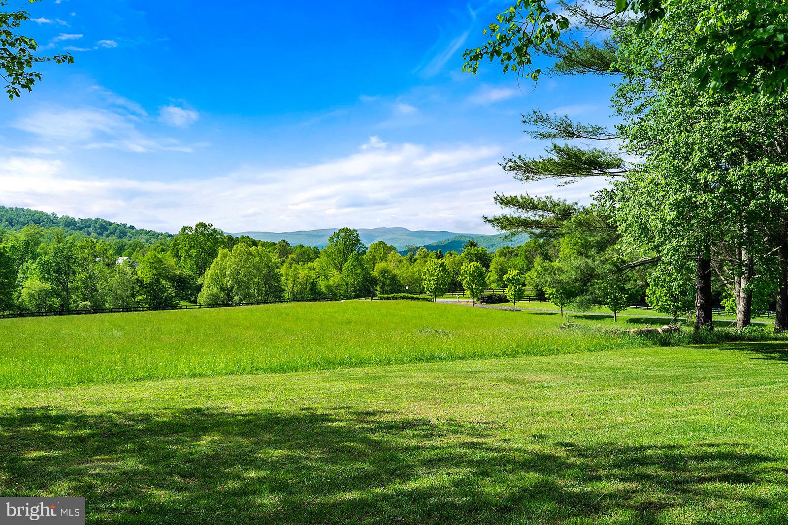 754 Rudasill Mill Road Sperryville, VA 22740 - Photo 2 of 29 Blue Ridge Mountain views in the front yard.
