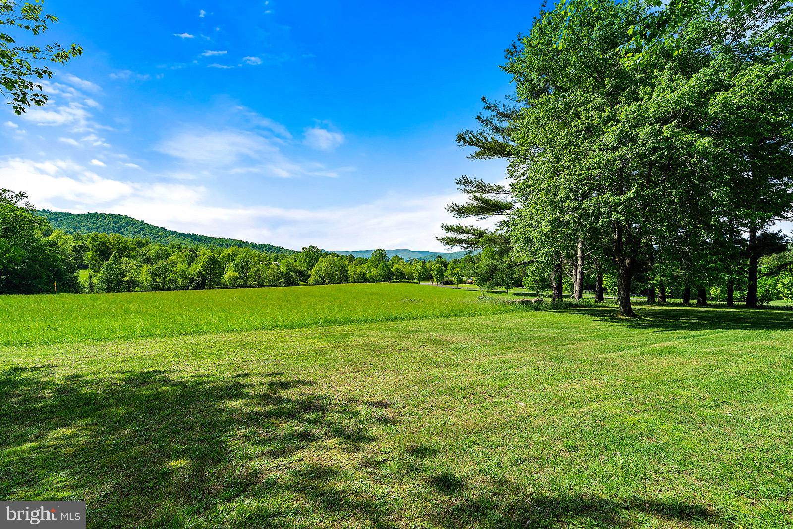 754 Rudasill Mill Road Sperryville, VA 22740 - Photo 16 of 29 Front field looking toward Sperryville