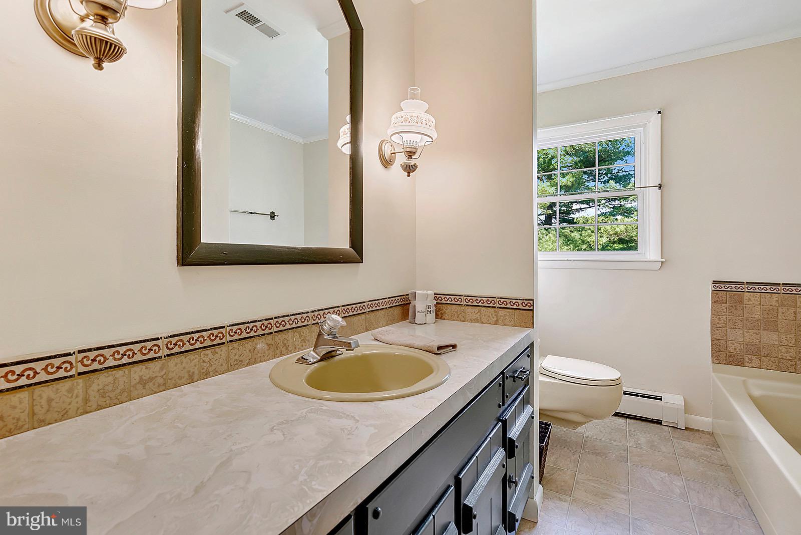 754 Rudasill Mill Road Sperryville, VA 22740 - Photo 23 of 29 Hall bath