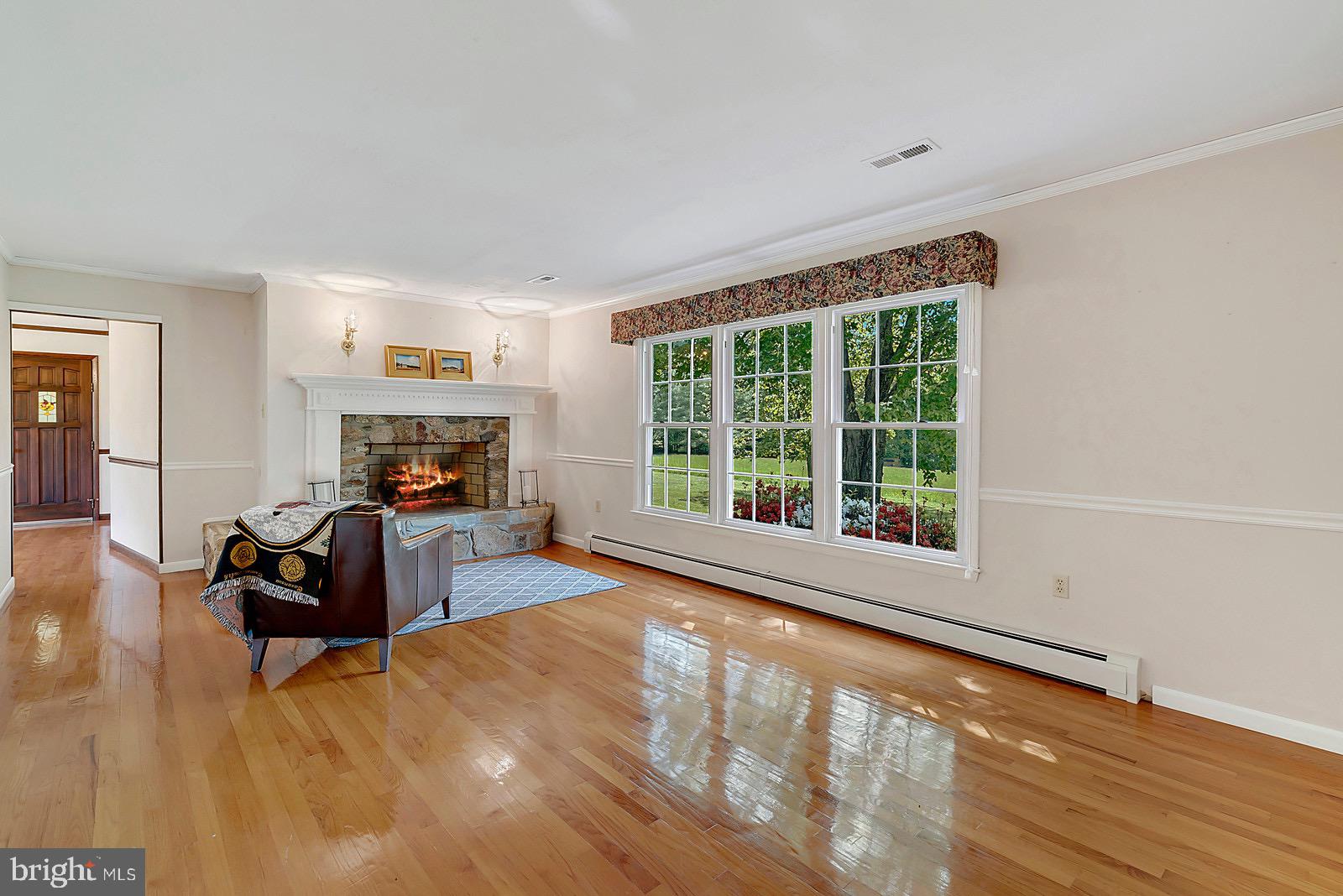 754 Rudasill Mill Road Sperryville, VA 22740 - Photo 8 of 29 Great Room w/ great wood burning stone fireplace -