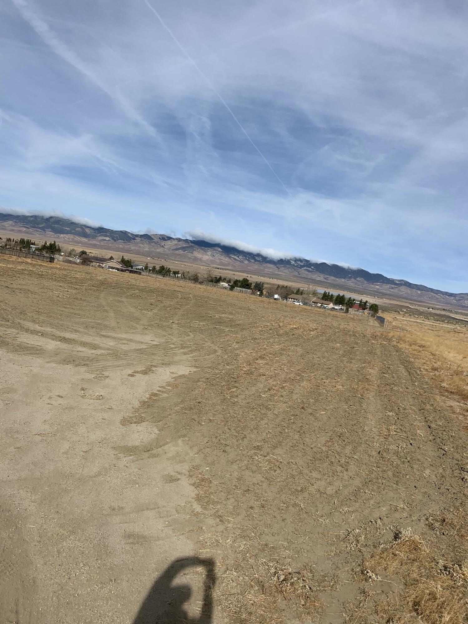 Karget Avenue Lancaster, CA 93536 - Photo 3 of 4 IMG_20250107_110753 (2)