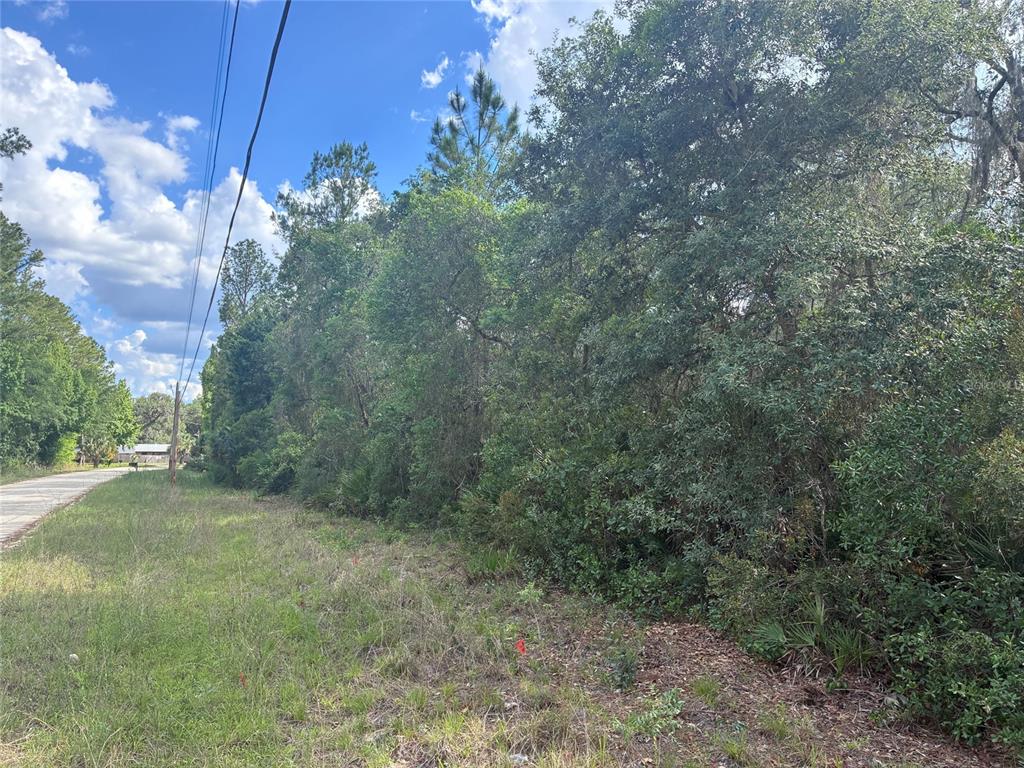 16464 Northeast 35th Avenue Road Citra, FL 32113 - Photo 1 of 6