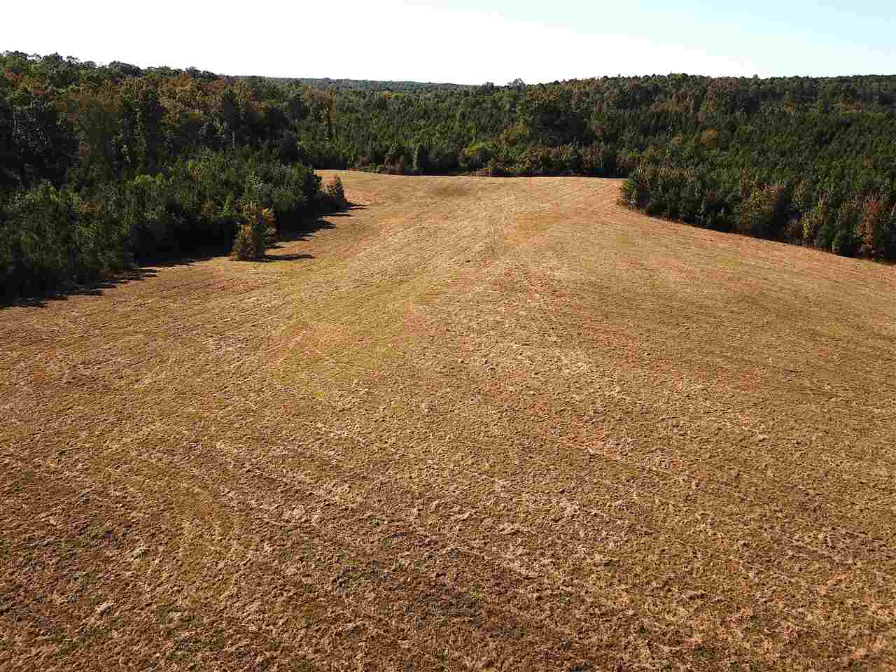 1 Porter Road Middleton, TN 38067 - Photo 2 of 11 Gallery Image 2