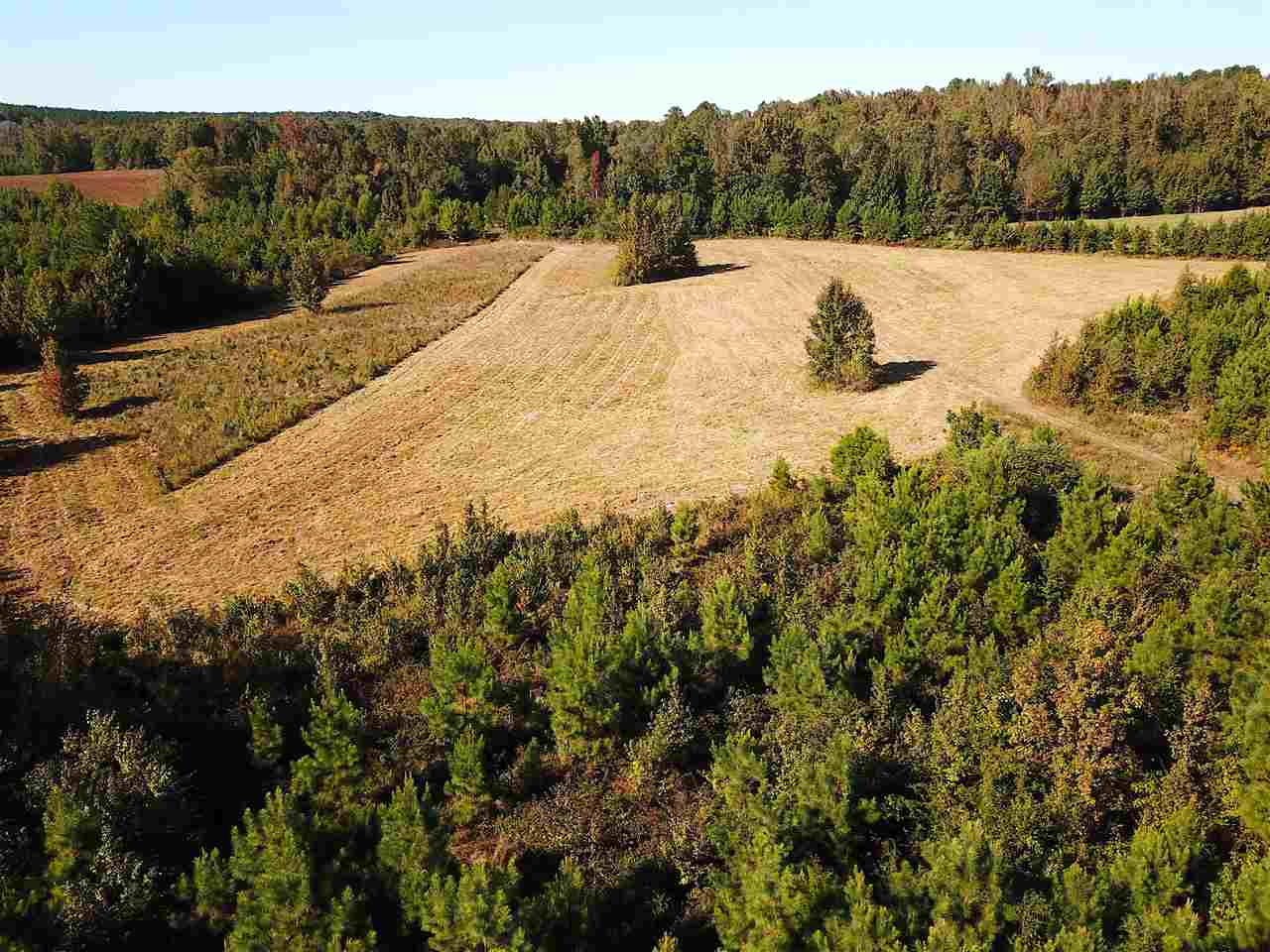1 Porter Road Middleton, TN 38067 - Photo 3 of 11 Gallery Image 3