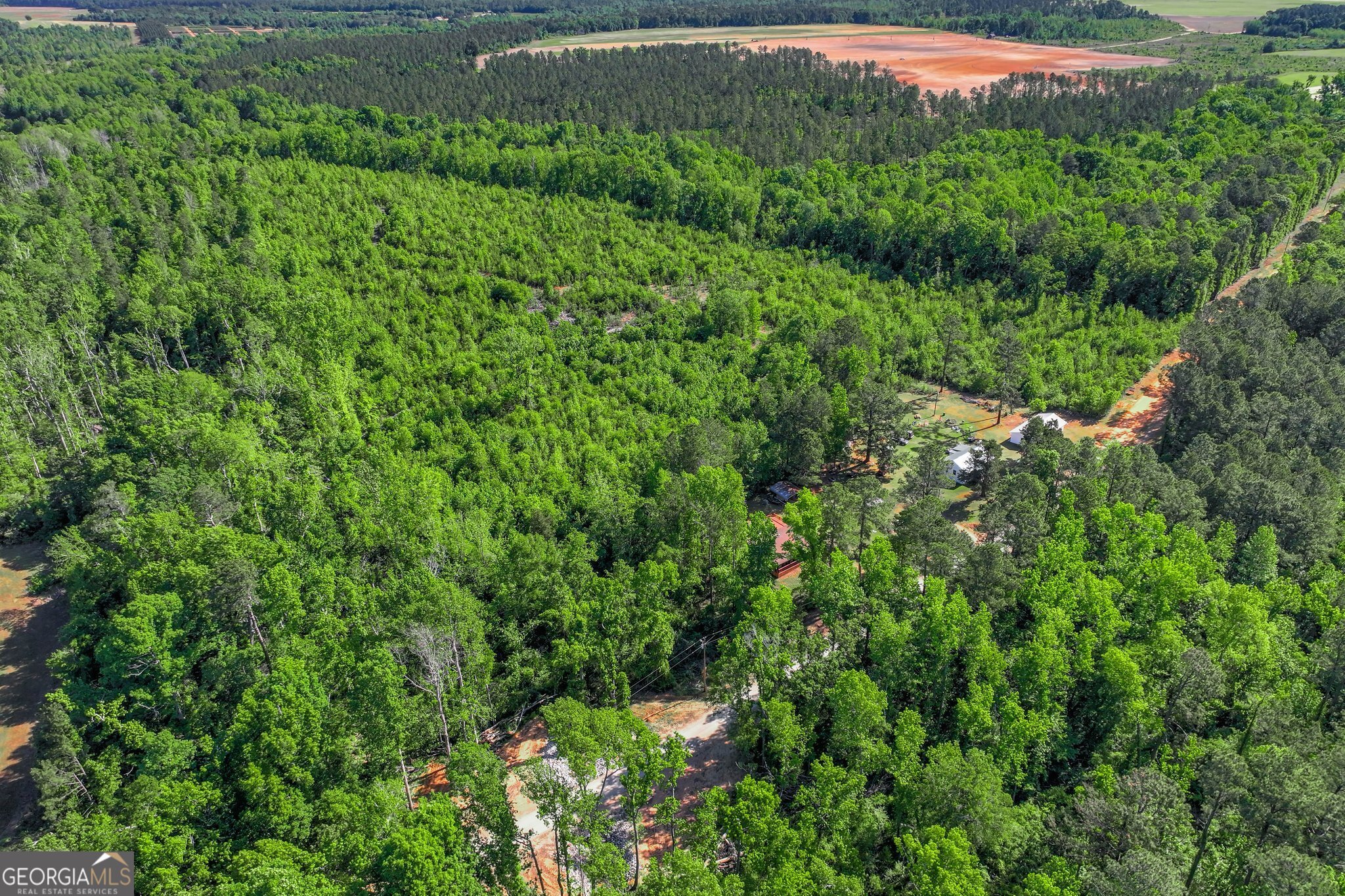 1453 Atwell Station Road Wrens, GA 30833 - Photo 2 of 8 a view of a forest with a tree