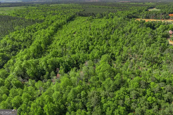 $300,000 | 1453 Atwell Station Road, Wrens, GA 30833