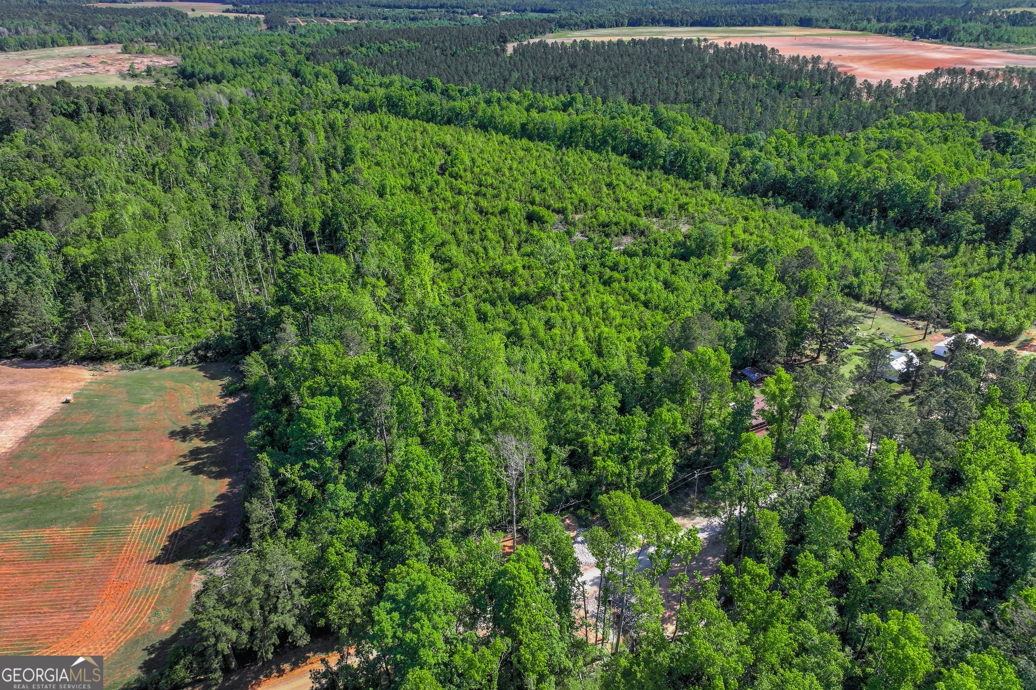 1453 Atwell Station Road Wrens, GA 30833 - Photo 5 of 8 a view of a lush green forest with lots of trees
