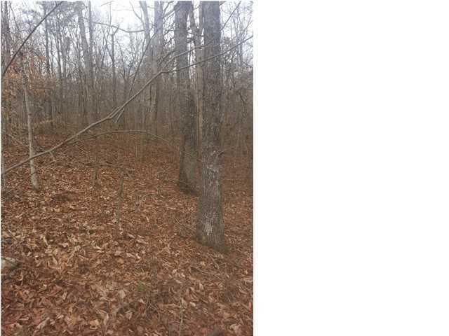 10449 Mullins Cove Road, Unit 14 Whitwell, TN 37397 - Photo 2 of 4 20150120200027792074000000-o