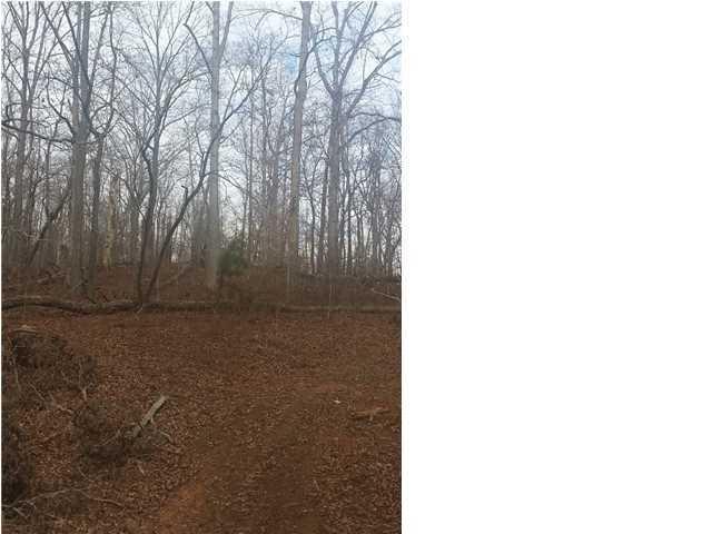 10449 Mullins Cove Road, Unit 14 Whitwell, TN 37397 - Photo 3 of 4 20150120200028021867000000-o