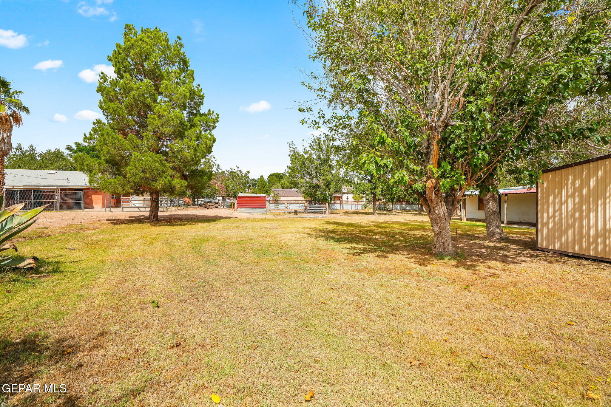 7798 Rosedale Street El Paso, TX 79915 - Photo 45 of 93 7798 Rosedale St-61