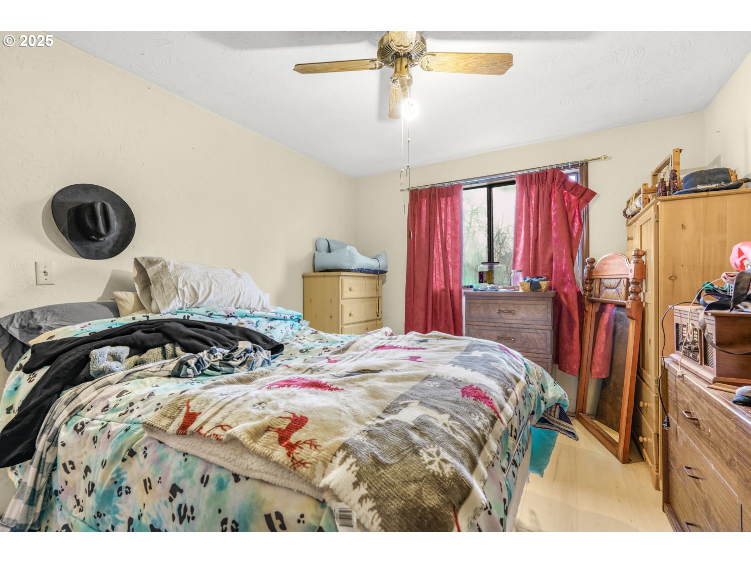 219 17th Street Springfield, OR 97477 - Photo 5 of 10