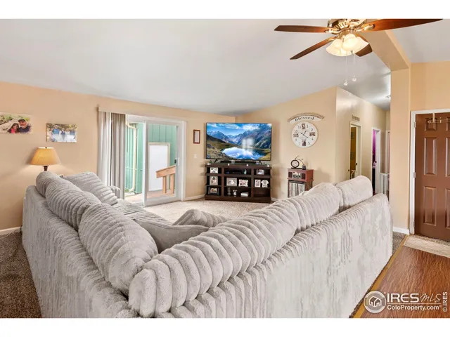 a view of a park with large trees