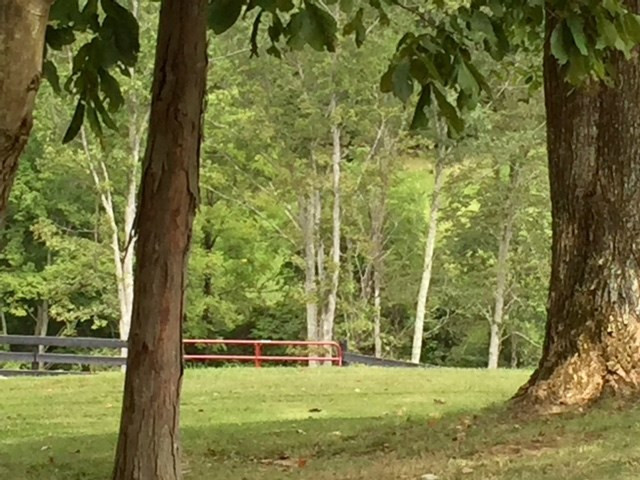 2310 Slippery Rock Road Owenton, KY 40359 - Photo 25 of 28 Gallery Image 25
