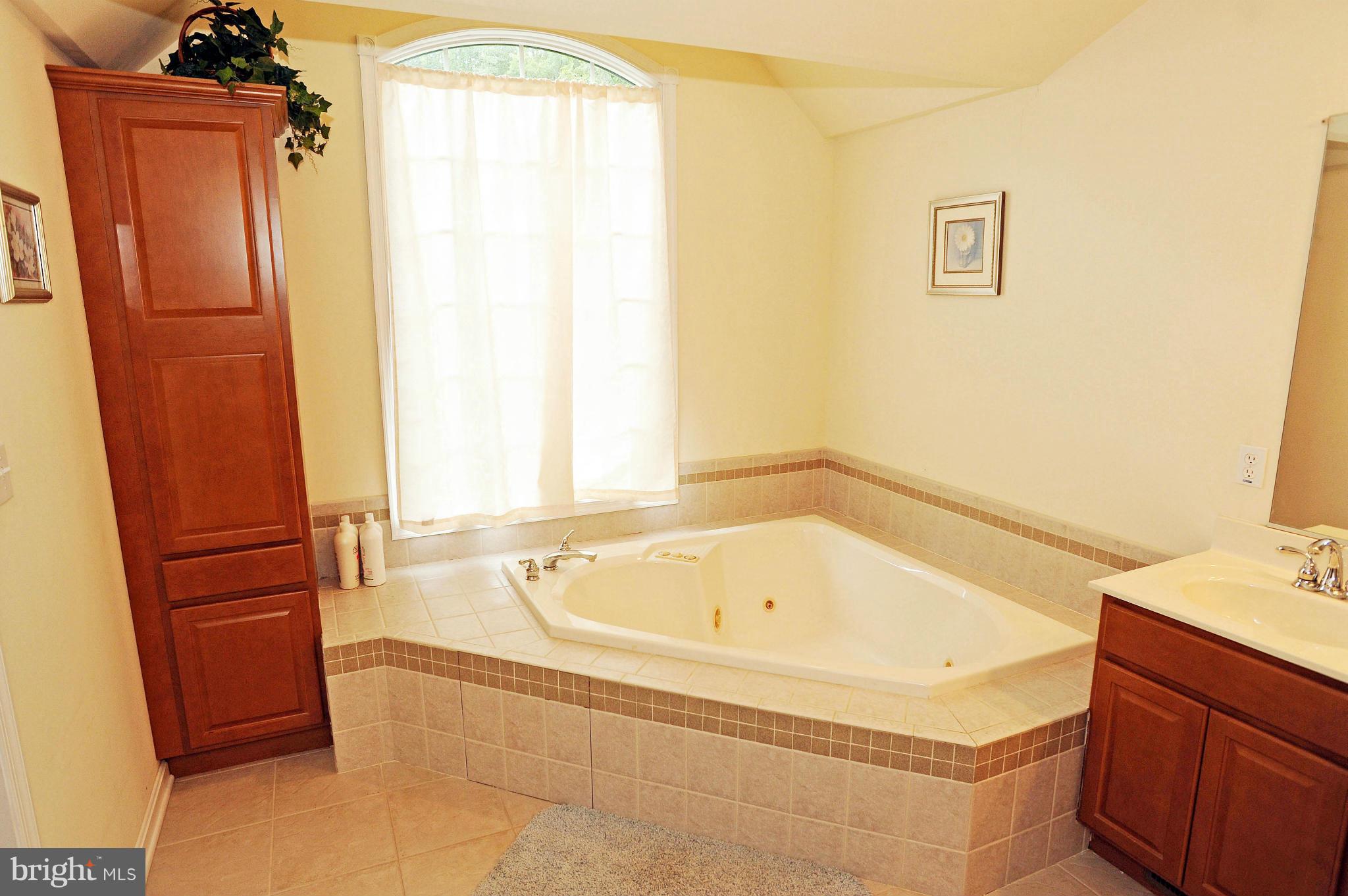 1406 Valley Stream Road Bel Air, MD 21014 - Photo 10 of 16 Bath (Master)