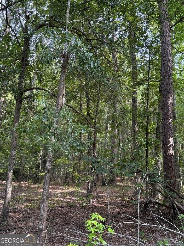 1940 Liberty Church Road Hephzibah, GA 30815 - Photo 10 of 12 Gallery Image 10