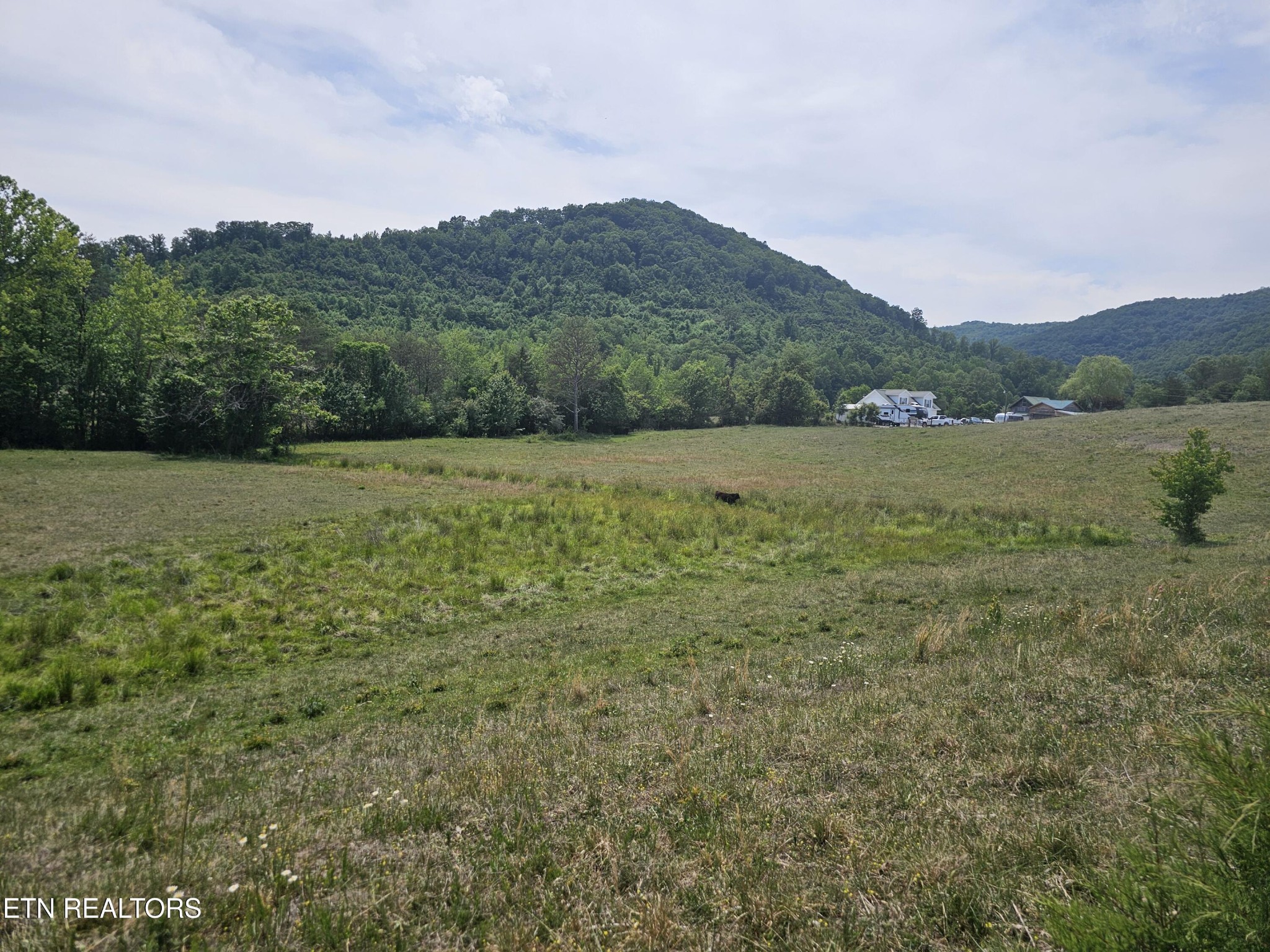 275 Republican Hill Road Newcomb, TN 37819 - Photo 14 of 34 Gallery Image 14