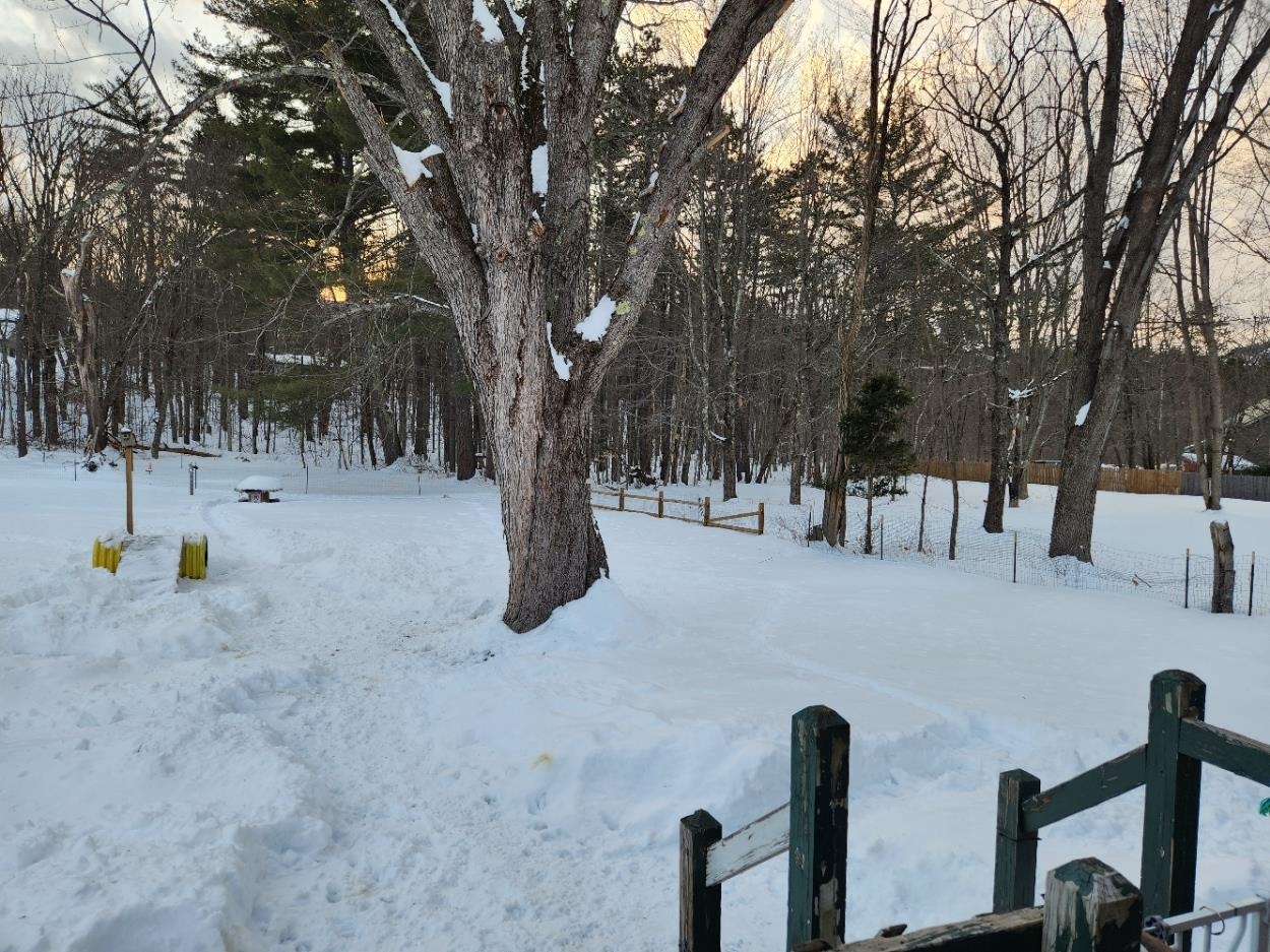 2444 West Side Road Conway, NH 03860 - Photo 28 of 36 Gallery Image 28