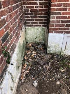 845 Day Avenue Southwest Roanoke, VA 24016 - Photo 25 of 26