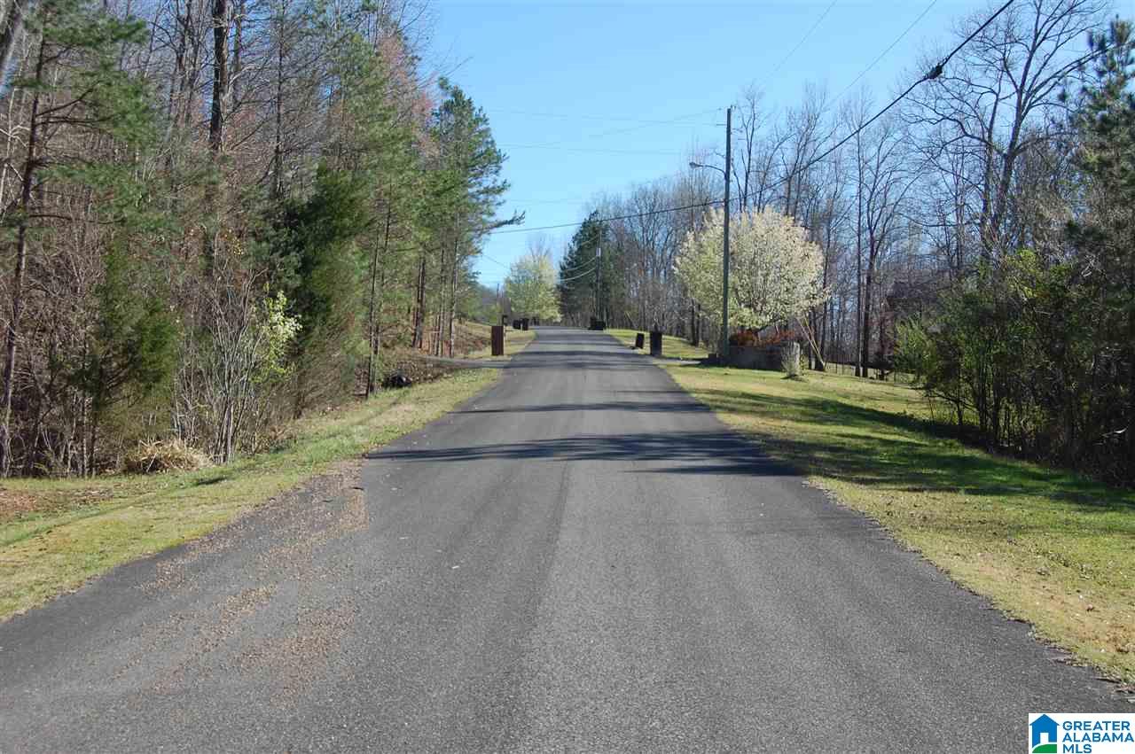 4599 Shadow Ridge Parkway Pinson, AL 35126 - Photo 50 of 50