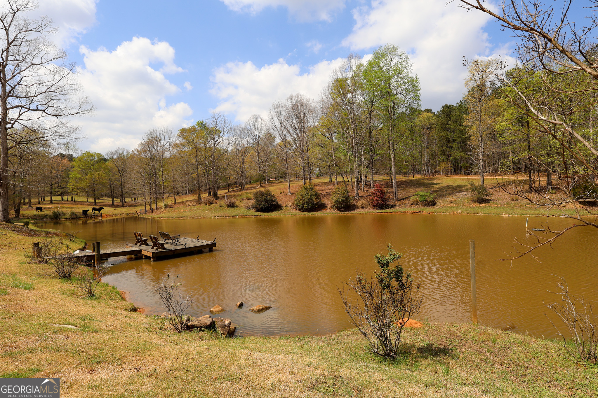 200 Higgins Road Flovilla, GA 30216 - Photo 32 of 44