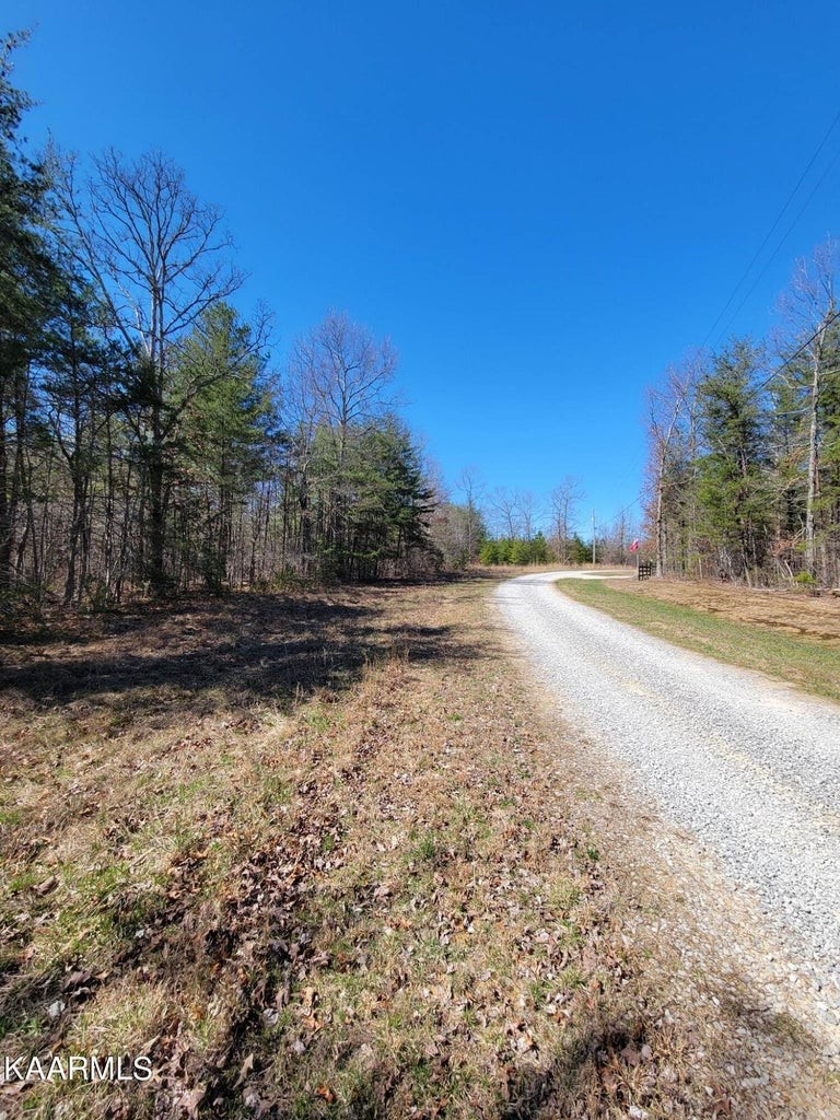0 Paige Lane Deer Lodge, TN 37726 - Photo 7 of 10 Gallery Image 7