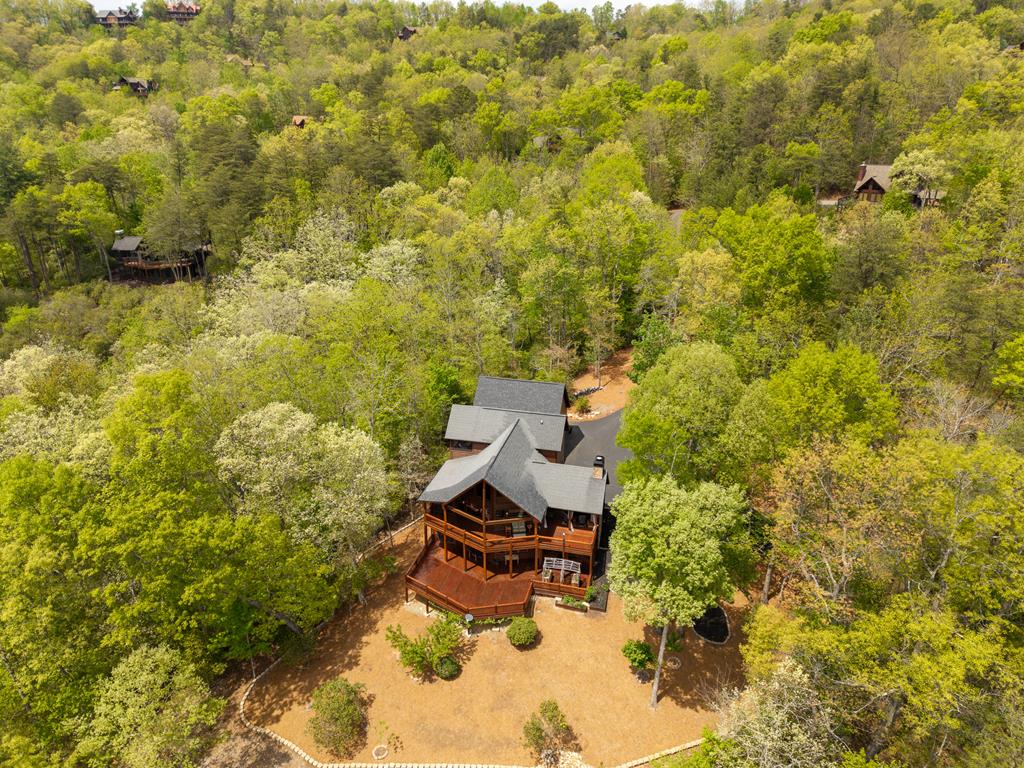 339 Birdseye View Blue Ridge, GA 30513 - Photo 55 of 69