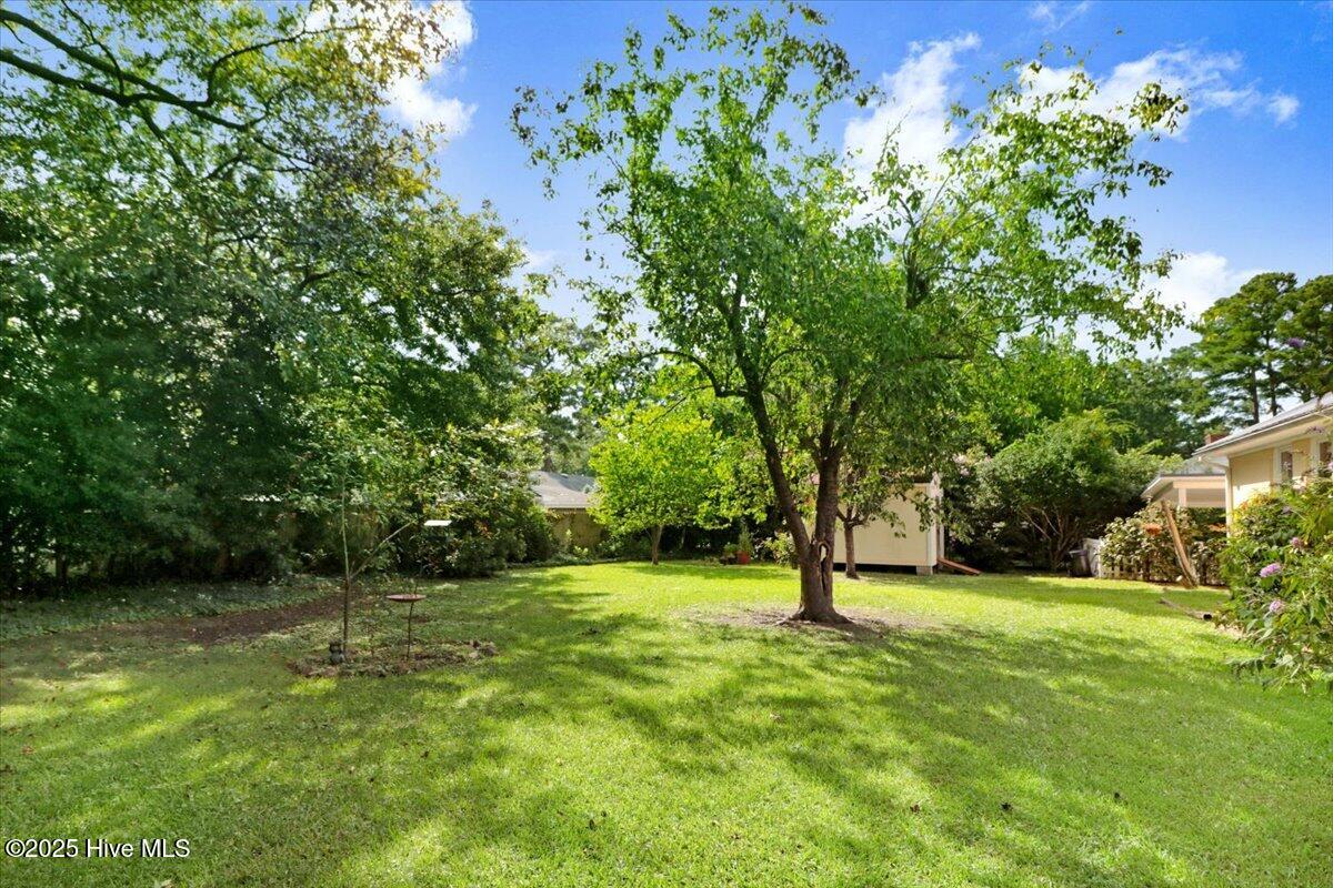 2306 Woodview Road Kinston, NC 28504 - Photo 7 of 40 07-2306 Woodview Rd-8