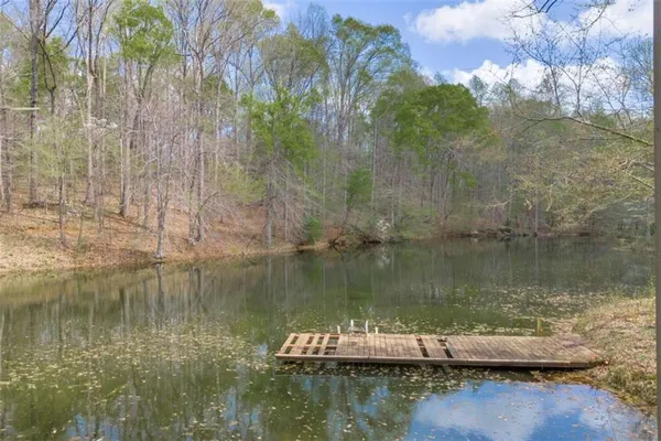 a view of a lake view with a large tree