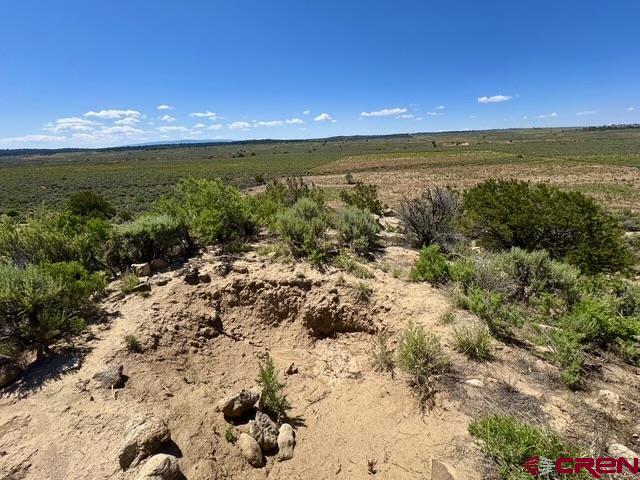 163 Cr 402 Road Lindrith, NM 87029 - Photo 8 of 16