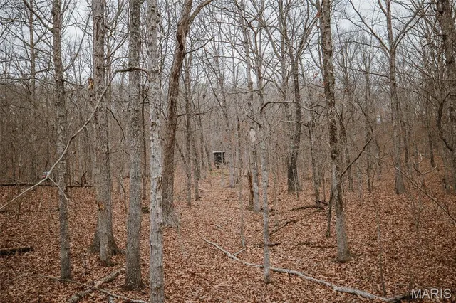 $139,900 | 0 Forest Service Road 2284, Bourbon, MO 65441