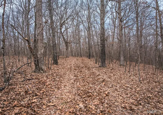 $139,900 | 0 Forest Service Road 2284, Bourbon, MO 65441