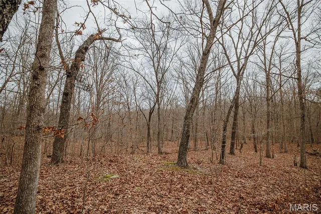 $139,900 | 0 Forest Service Road 2284, Bourbon, MO 65441