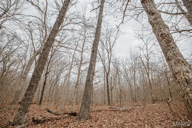 $139,900 | 0 Forest Service Road 2284, Bourbon, MO 65441