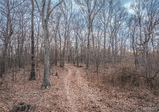 $139,900 | 0 Forest Service Road 2284, Bourbon, MO 65441