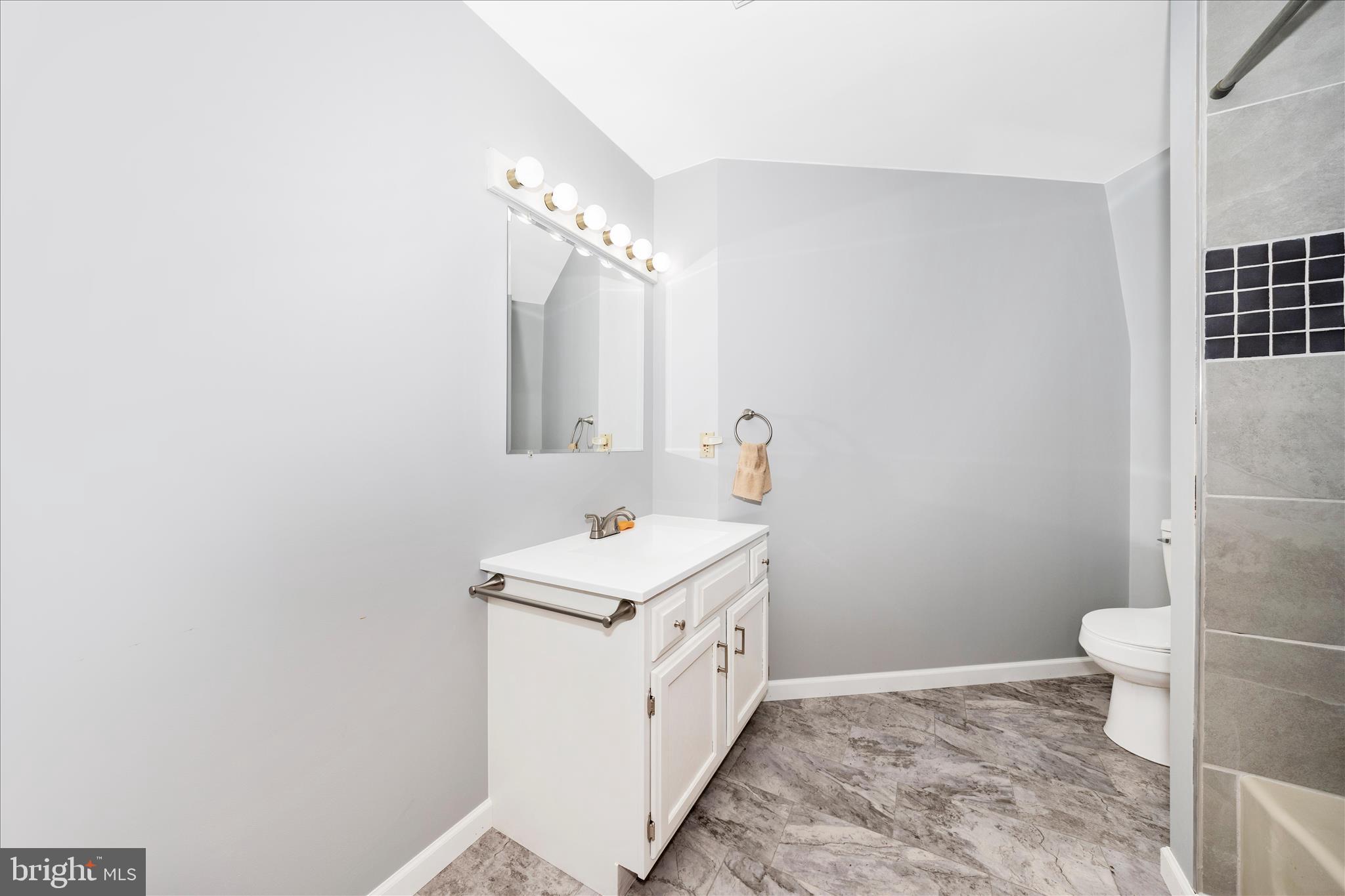 2813 Fry Road Jefferson, MD 21755 - Photo 20 of 51 Primary Bathroom
