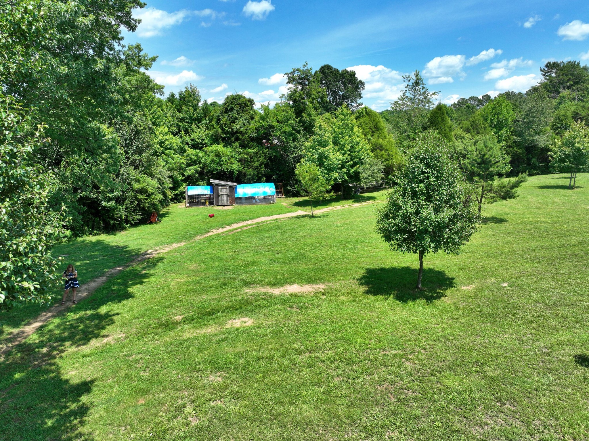 5858 Wolf Creek Road Spring City, TN 37381 - Photo 69 of 76