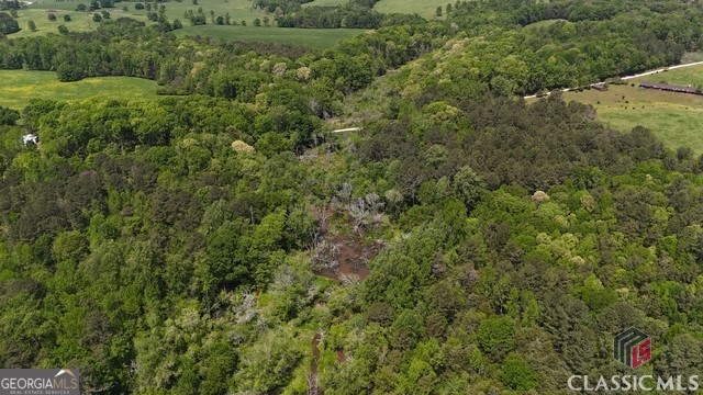 0 Moore Road Elberton, GA 30635 - Photo 40 of 67