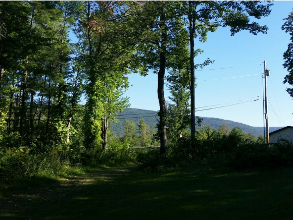 1 Beaver Meadows Road Sunderland, VT 05250 - Photo 1 of 5 Gallery Image 1